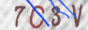 Immagine CAPTCHA