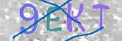 Immagine CAPTCHA