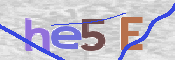 Immagine CAPTCHA