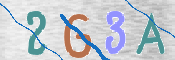 Immagine CAPTCHA