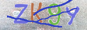 Immagine CAPTCHA