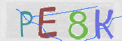 Immagine CAPTCHA