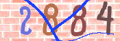 Immagine CAPTCHA