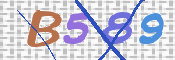 Immagine CAPTCHA