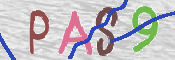 Immagine CAPTCHA
