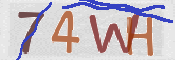 Immagine CAPTCHA
