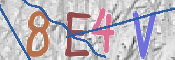 Immagine CAPTCHA