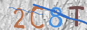 Immagine CAPTCHA