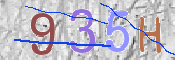 Immagine CAPTCHA