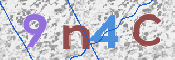 Immagine CAPTCHA
