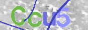 Immagine CAPTCHA