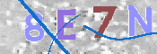 Immagine CAPTCHA