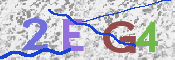Immagine CAPTCHA