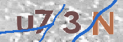 Immagine CAPTCHA
