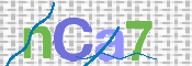 Immagine CAPTCHA
