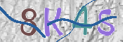 Immagine CAPTCHA