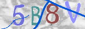 Immagine CAPTCHA