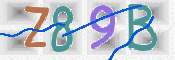 Immagine CAPTCHA