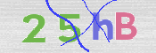 Immagine CAPTCHA