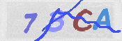 Immagine CAPTCHA
