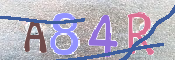 Immagine CAPTCHA