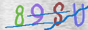 Immagine CAPTCHA