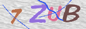 Immagine CAPTCHA