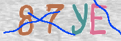 Immagine CAPTCHA