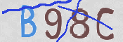 Immagine CAPTCHA