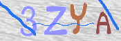Immagine CAPTCHA