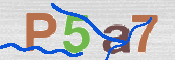 Immagine CAPTCHA