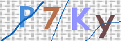 Immagine CAPTCHA