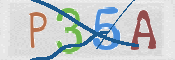 Immagine CAPTCHA