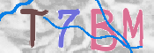 Immagine CAPTCHA
