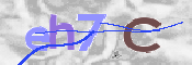 Immagine CAPTCHA