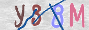 Immagine CAPTCHA